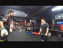 【キックVS二刀流】ンベンベVSブロリー