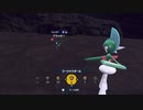 【ポケモンSV】ブラッキー 大量発生 色違い厳選 2