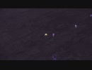 【ポケモンSV】ブラッキー色違い厳選してたらヤミラミの色違いが出た(⋈◍＞◡＜◍)。✧♡