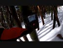 （今日は見廻り雑談（後半愚痴り）回ｗ）変態忍者の、有害鳥獣駆除従事活動記・その２３０