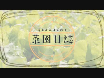 気ままにはじめる菜園日誌_vol1「じゃがいも」