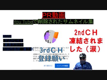 （私事）【ＰＲ動画】サムネイル集（You Tubeチャンネル削除で消えた動画など）【アラ還・読書中毒】ＢＧＭ「ケムトレイル」「東京アラート」溝下創：コロナ禍、ワクチン禍、私＝権兵衛は陰謀論肯定派