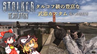 【stalker anomaly 】desolation modの紹介！導入方法付き