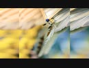 昆虫  Flight of Insects and Birds  虫 人工知能 芸 術