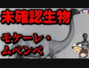 【ゆっくり解説】「なぜ」恐竜が現代に見られるのか　─UMAモケーレ・ムベンベ─