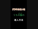 侵入方法が人間みたいな猫