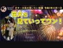 土曜日恒例花火大会！　ボギー大佐の言いたい放題　2023年02月11日　20時頃　放送分