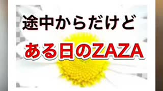 ある日のZAZA　二回接種者