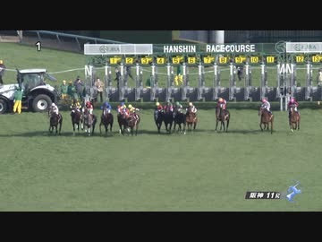 2023 京都記念 圧倒的な強さ、今年の主役候補か？！