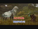 【ホグワーツ・レガシー】 メインクエスト 動物学の授業 Part 16【ネタバレあり】