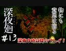 【夫婦実況】不法投棄、ダメ、ゼッタイ。【深夜廻】＃１３