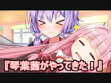 琴葉茜をお迎えしてウキウキな結月ゆかり