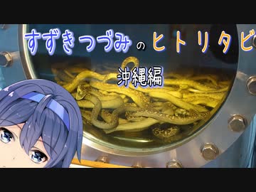 【Cevio旅行 】すずきつづみのヒトリタビ  ～沖縄編③ 沖縄の歴史と自然～