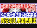 日本ほどの不況は来ない！日本の経済学者がK国企業の強さを語る･･･なぜか異を唱える国民が続出！【2023/02/12】