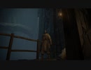 【エルデンリング侵入動画】血指ト背律ノ記録Part１５