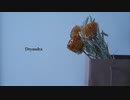 Dryandra - IA と ちだうちだ