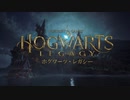 ハリーポッターの世界を168％楽しむ男のホグワーツでの旅【ホグワーツレガシー】