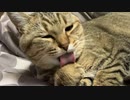 ひたすら手のお手入れ