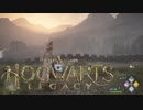 朝焼けがめっちゃ綺麗すぎる神ゲー【Hogwarts Legacy】【ホグワーツ・レガシー】【実況】＃8