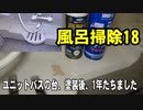 風呂掃除18：ユニットバスの台、塗装後、1年たちました