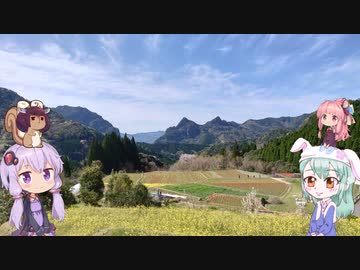 ノウサギはさるきたい　その10　日之影町中川チューリップの里