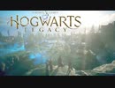 草生やす魔法で草ｗｗｗｗｗ【Hogwarts Legacy】【ホグワーツ・レガシー】【実況】＃10