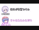 咲夜「新月が奇麗ですね」レミリア「見えねえだろ」【ふたセリフPart6】
