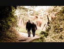 BGM - 愛する人を想う穏やかなラブソング「キセキ」【作業用、ロイヤリティフリー】