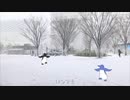 『歌ってみた』ペンギン歩きの唄