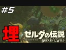こいつこの状態で生きてるって言えるん？ ゼルダの伝説 ブレスオブザワイルド マスターモード Part5【ゲーム実況】