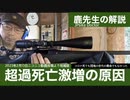 【鹿先生】超過死亡激増の原因（短縮版字幕付き）@kinoshitayakuhi