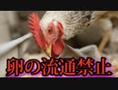 世界経済フォーラム、卵を危険な食べ物として勧告。