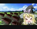 ブラウニ畑を作りたいUDK☆.mp4