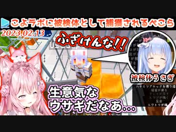 【マイクラ】被検体ぺこらを捕まえるも凶暴すぎて返り討ちに遭うこより