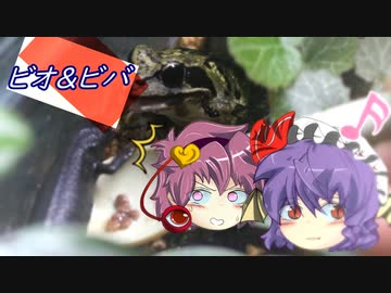 【ビオトープ07】イノシシ対策用ワイヤーメッシュ【ビバリウム02】