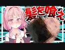 【聖遺物混入？】茜さんに茜さんの髪の毛入りバレンタインチョコを渡す…【VOICEROIDキッチン＋生声】