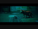 [ストレイ]第1回(1-2) もう一匹じゃない