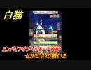 白猫　エンパイアオブヘルモート攻略　セルピナの戦い２　ガチャキャラ　ヘルモート（斧）セルピナ（竜）　＃３９　【白猫プロジェクト】