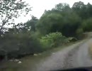 山道　その５