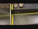 JR恵比寿駅上りエスカレーター〜MITSUBISHI製