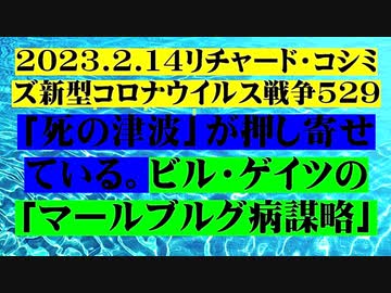【2023年02月14日：リチャード・コシミズ Internet 講演 （ ニコニコ生放送 LIVE ）（ 改良版 ）】