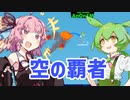 天翔けるずんだもん