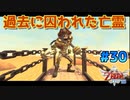 【ゼルダの伝説スカイウォードソード】空と大地と時々姫と_Part30【実況】
