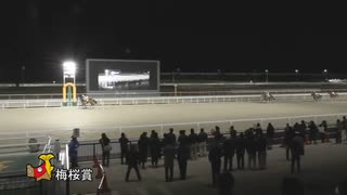2023年2月14日名古屋競馬10R 梅桜賞(準重賞・3歳牝馬) セブンカラーズ