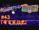 超魔界村プロの【帰ってきた魔界村】実況#43『有言実行党』