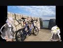 【自転車車載】あかりちゃんをサイクリングに連れ出しました 16回目