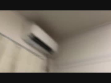 道化の人と心を通わせました