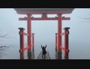 【Vlog】箱根日帰りぼっち旅【ぼっちの日常】
