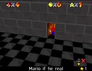 紹介するほどでもない改造マリオ64シリーズ【Mario if he real編】