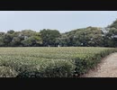 牧之原市で降雪